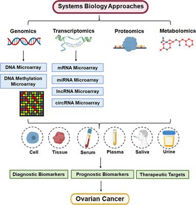 Applications of Multi-omics Approaches for Exploring the Molecular Mechanism of Ovarian Carcinogenesis